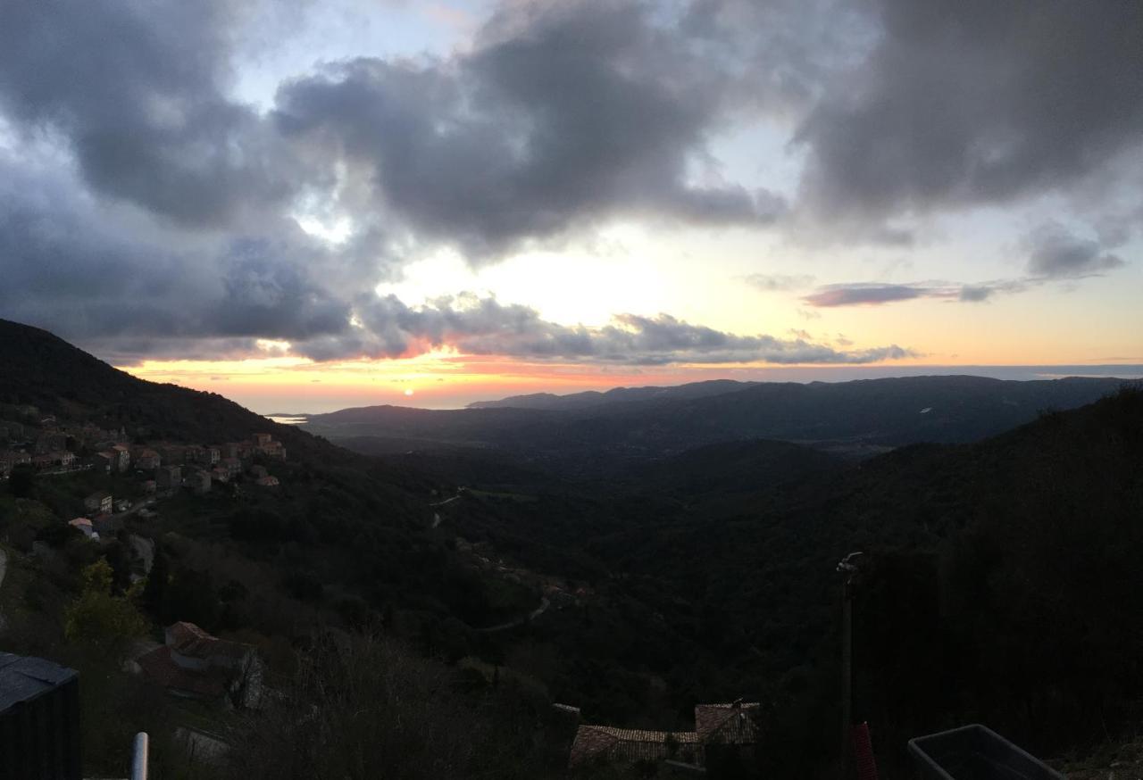 VillaRadriimas 2 ha de confort et de tranquillité avec vue sur la mer Sollacaro Extérieur photo