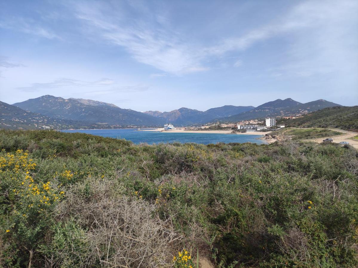 VillaRadriimas 2 ha de confort et de tranquillité avec vue sur la mer Sollacaro Extérieur photo