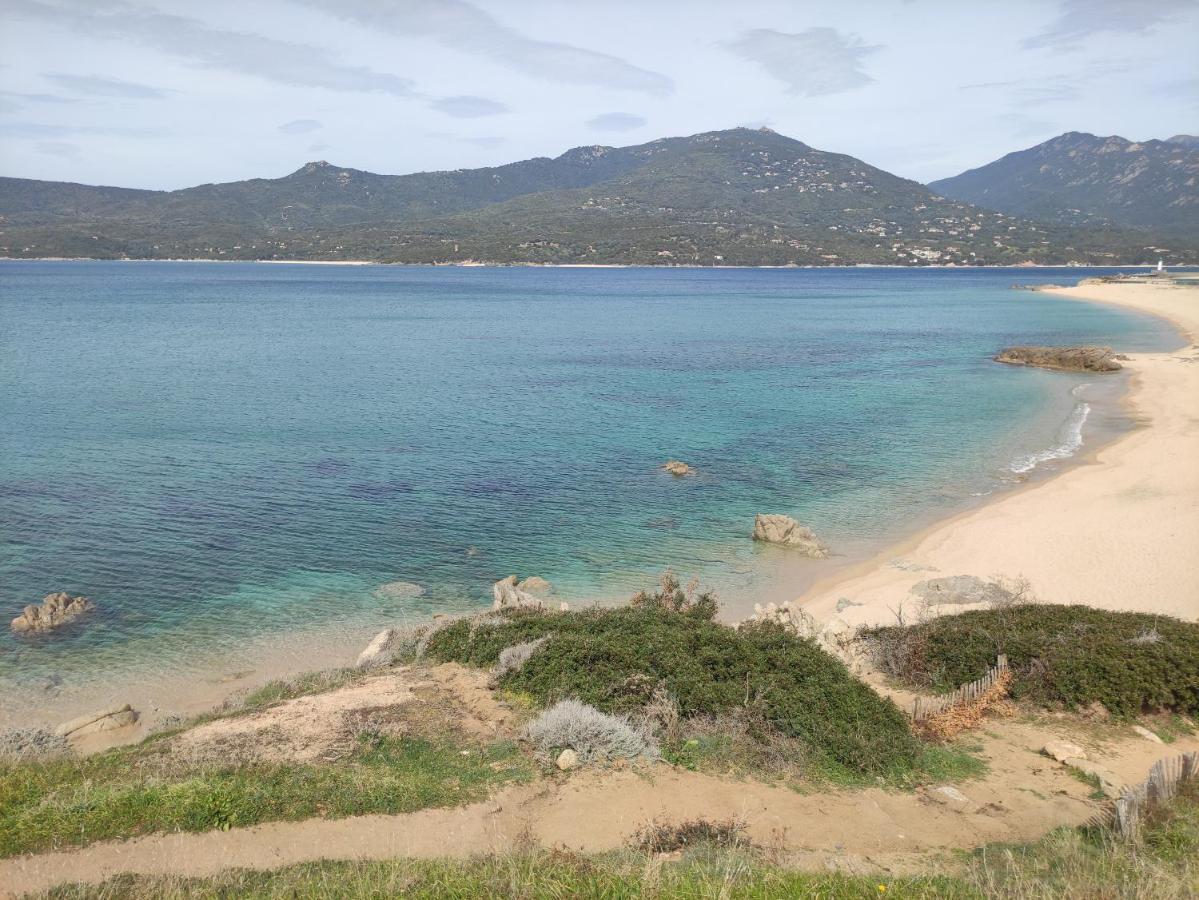 VillaRadriimas 2 ha de confort et de tranquillité avec vue sur la mer Sollacaro Extérieur photo