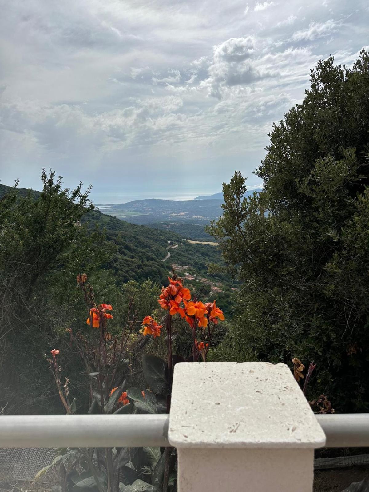 VillaRadriimas 2 ha de confort et de tranquillité avec vue sur la mer Sollacaro Extérieur photo
